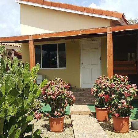 Bubali Studio Palm Beach Extérieur photo
